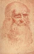 LEONARDO da Vinci Self Portrait oil